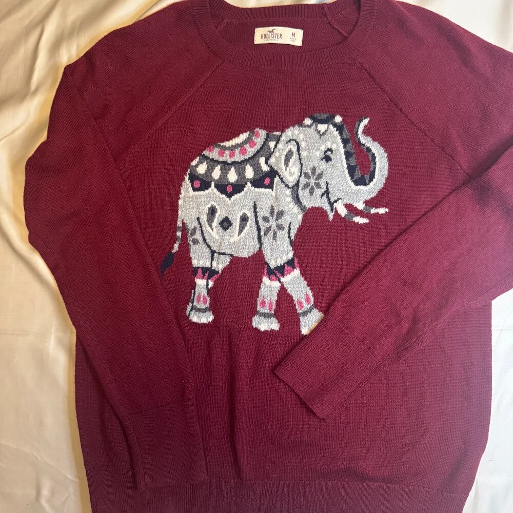 Hollister M Elephant Sweater